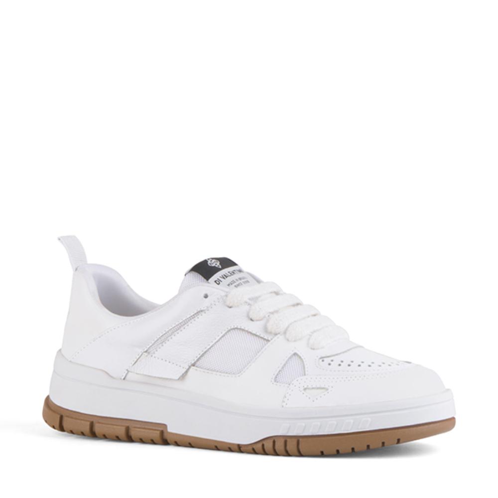 Tenis